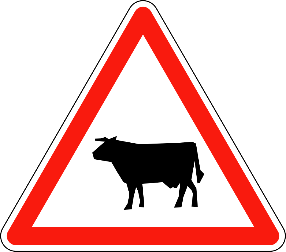 Passage d'animaux domestiques