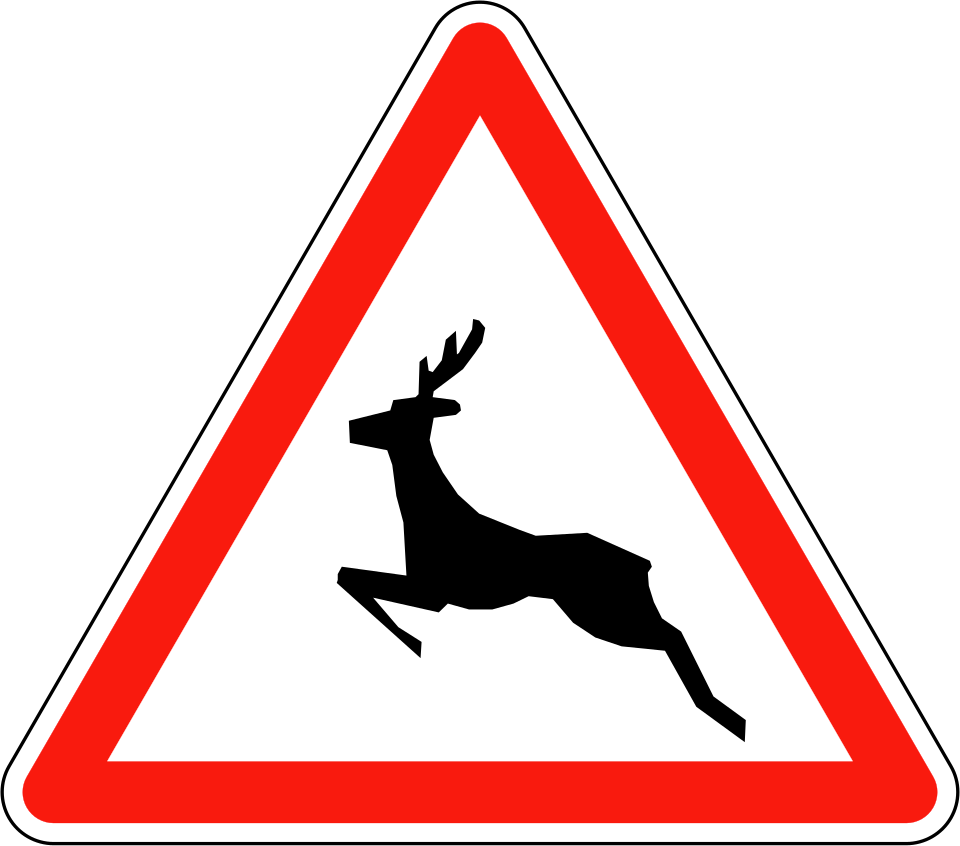 Passage d'animaux sauvages